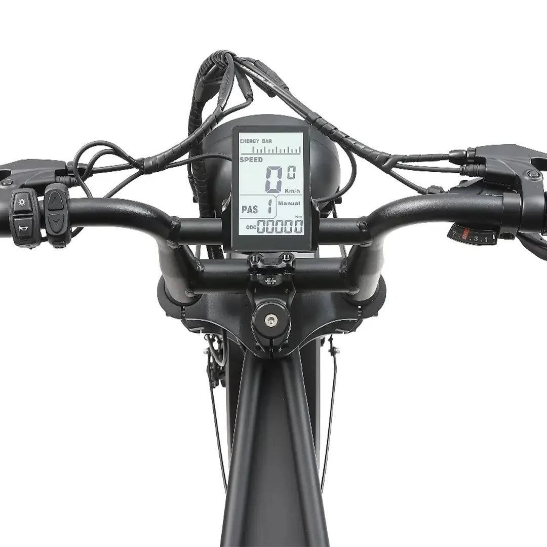 APERYDER A10 PRO FATBIKE