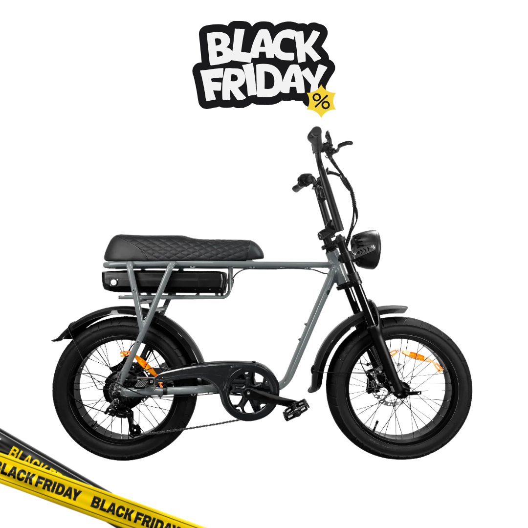 EB2 FATBIKE | model zwart