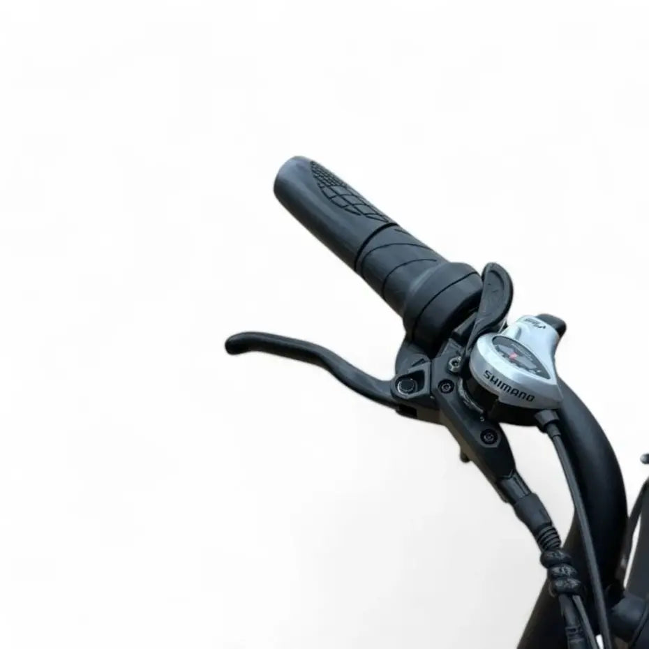 OUXI V20 PRO FATBIKE